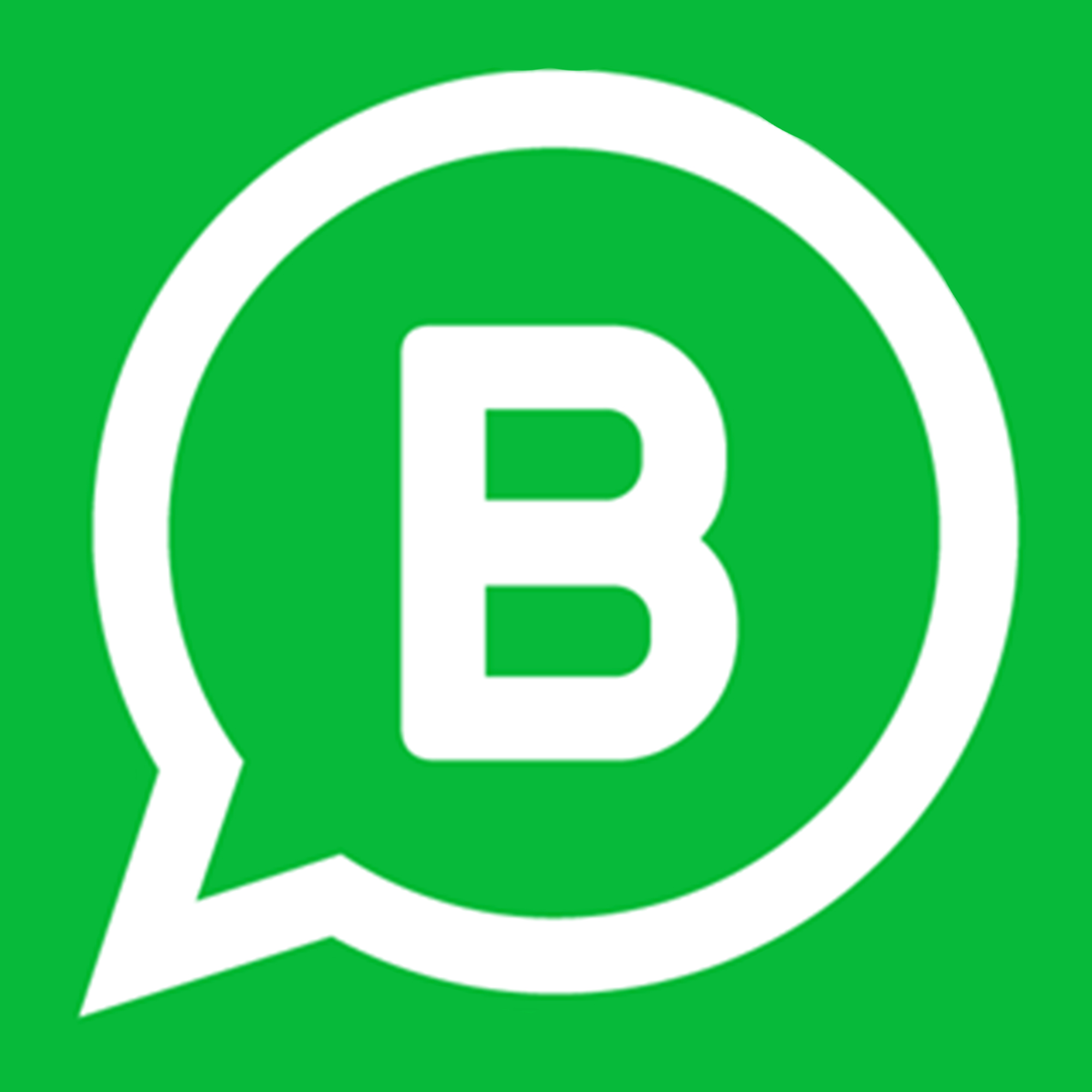 WhatsApp Business icon